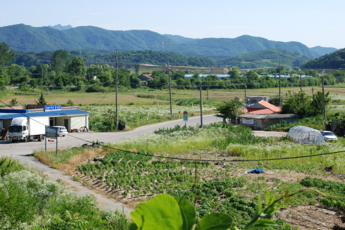 송원리마을에서 본 들판 풍경 